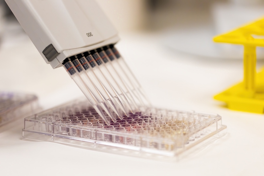 96-Well Semi-Skirted PCR Plate Green 25 plates